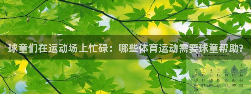 意昂2体育凯捷平台招商