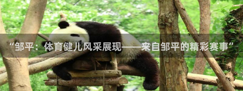 意昂2体育官网入口登录