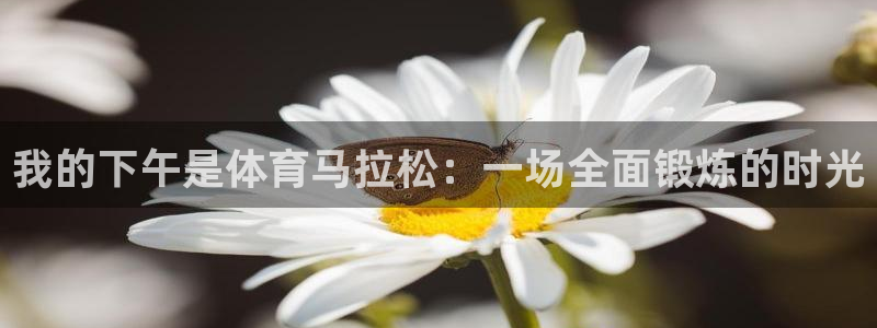 德国意昂集团