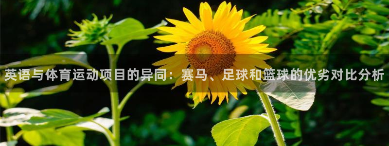 意昂平台主管