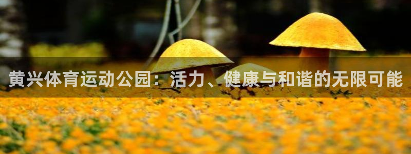意昂3平台登录注册：黄兴体育运动公园：活力、健康与和谐的无限可能