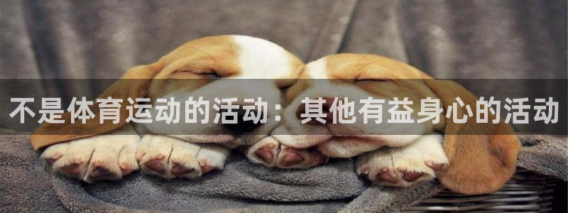 意昂2集团总部：不是体育运动的活动：其他有益身心的活动