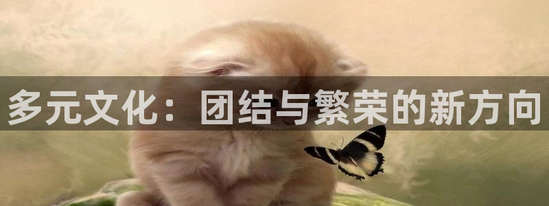 意昂2体育凯捷平台代理：多元文化：团结与繁荣的新方向