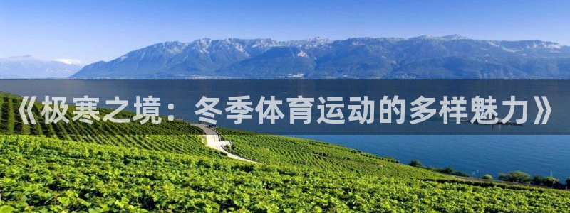 意昂22平台注册：《极寒之境：冬季体育运动的多样魅力》