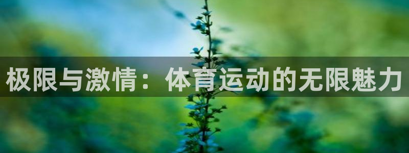 意昂23官网