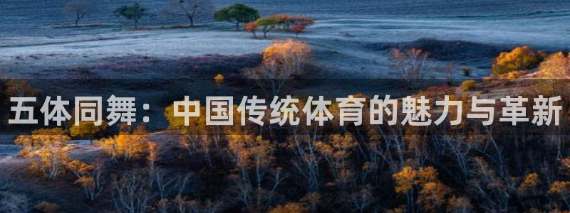 意昂平台主管：五体同舞：中国传统体育的魅力与革新