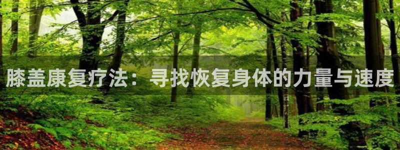 意昂2体育：膝盖康复疗法：寻找恢复身体的力量与速度