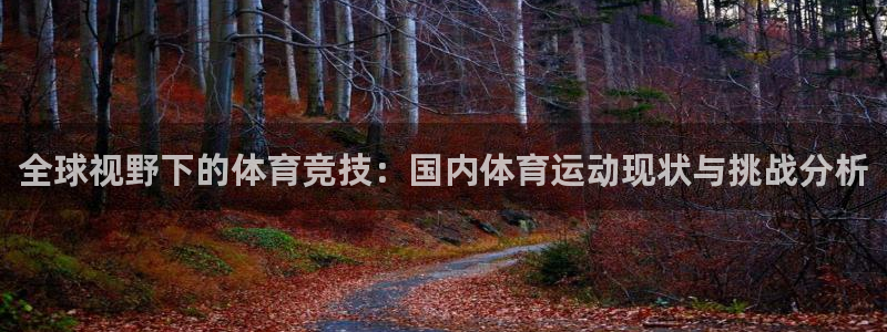 意昂2登录注册：全球视野下的体育竞技：国内体育运动现状与挑战分析