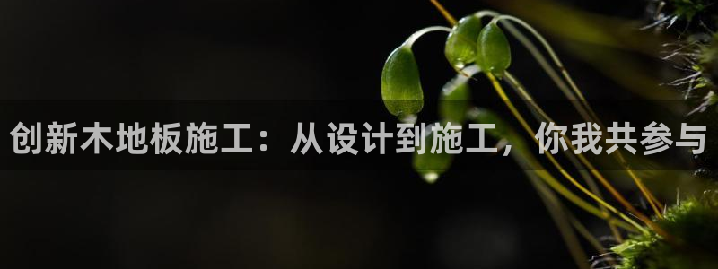 意昂22平台注册：创新木地板施工：从设计到施工，你我共参与