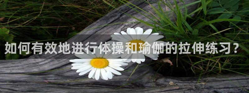 意昂22注册：如何有效地进行体操和瑜伽的拉伸练习？