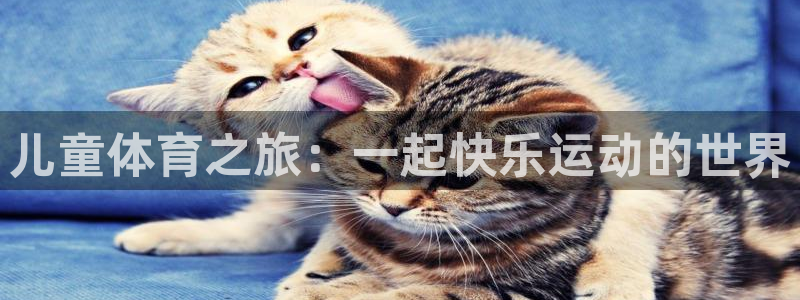 意昂2包怎么样：儿童体育之旅：一起快乐运动的世界