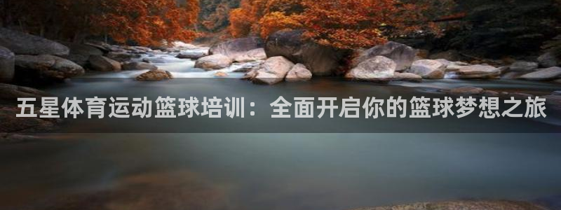 意昂2官网注册：五星体育运动篮球培训：全面开启你的篮球梦想之旅