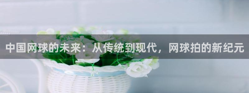 意昂2体育凯捷平台招商：中国网球的未来：从传统到现代，网球拍的新纪元