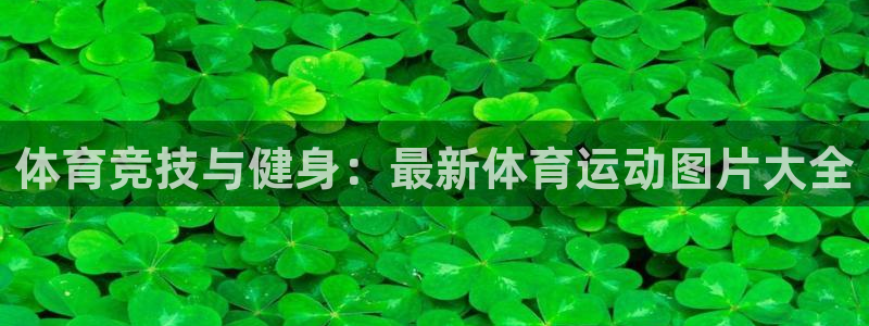 意昂代理：体育竞技与健身：最新体育运动图片大全