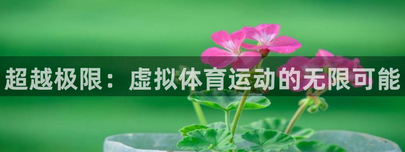 意昂体育注册代理：超越极限：虚拟体育运动的无限可能