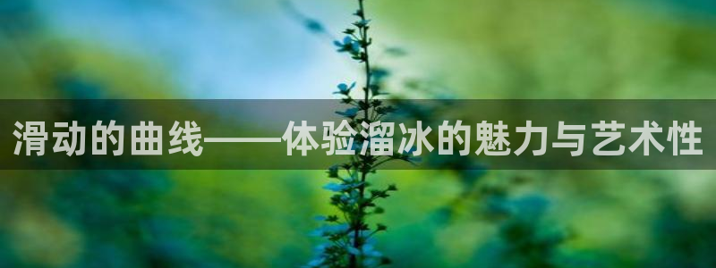 意昂平台：滑动的曲线——体验溜冰的魅力与艺术性