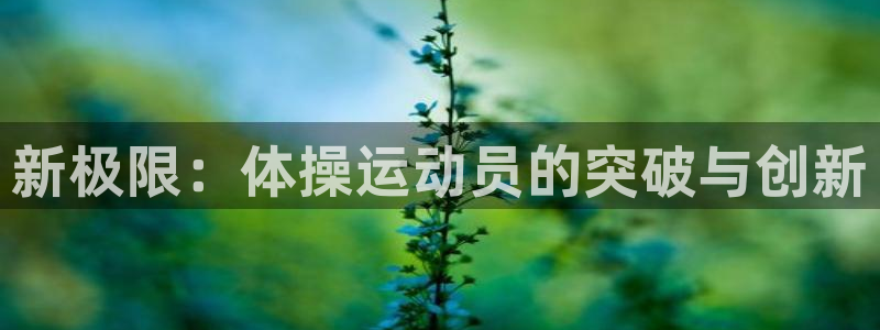 意昂平台主管：新极限：体操运动员的突破与创新