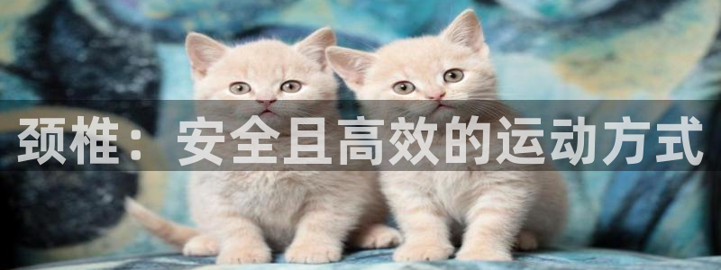 意昂2体育和杏耀是哪个公司的：颈椎：安全且高效的运动方式