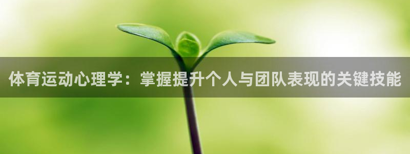 意昂22登录入口：体育运动心理学：掌握提升个人与团队表现的关键技能