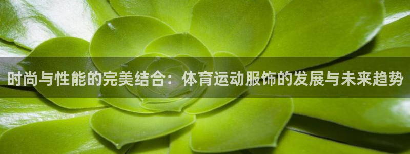 意昂24平台：时尚与性能的完美结合：体育运动服饰的发展与未来趋势