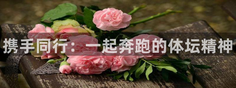 意昂2包怎么样：携手同行：一起奔跑的体坛精神